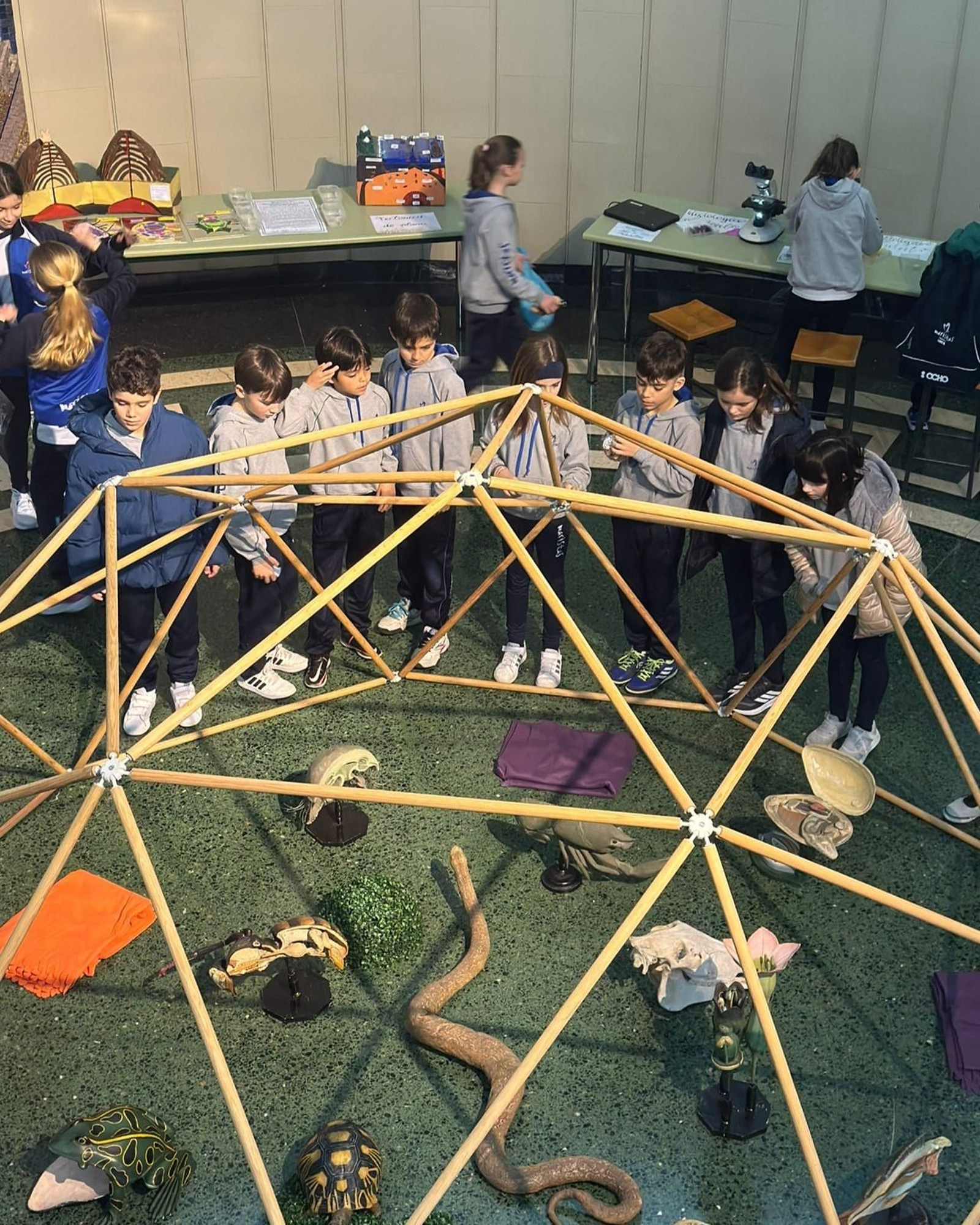 Instalación sobre los animales