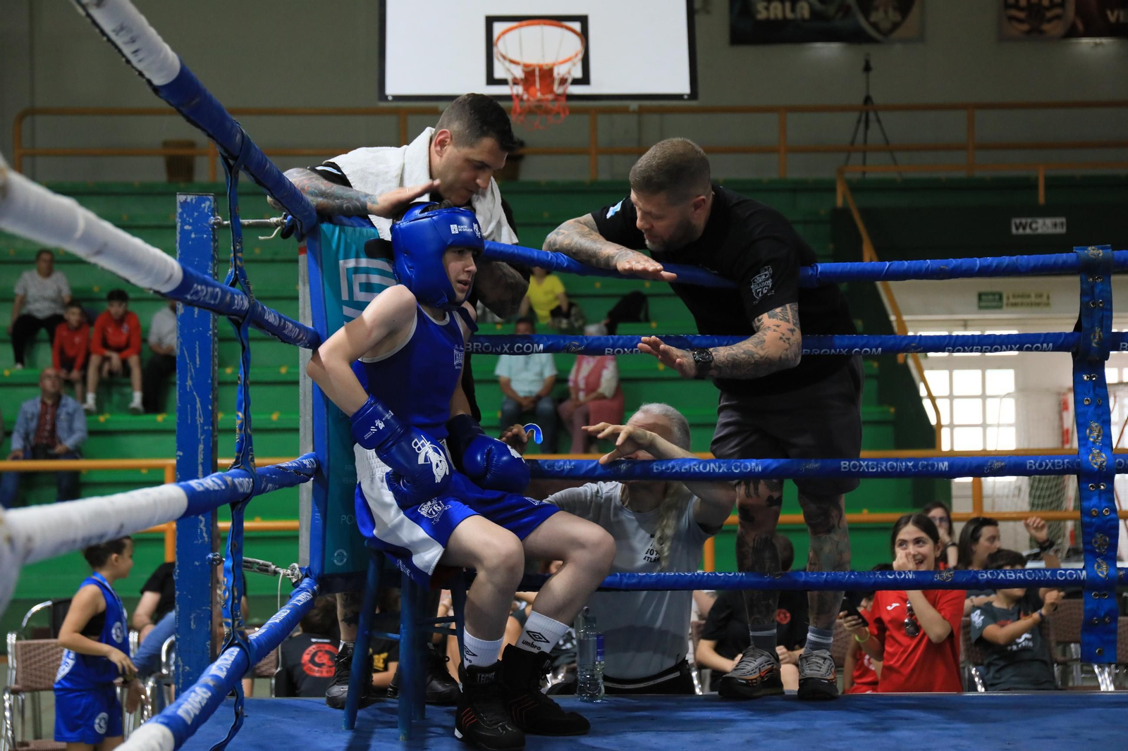Galería | Verín disfruta de su primer Open de Boxeo