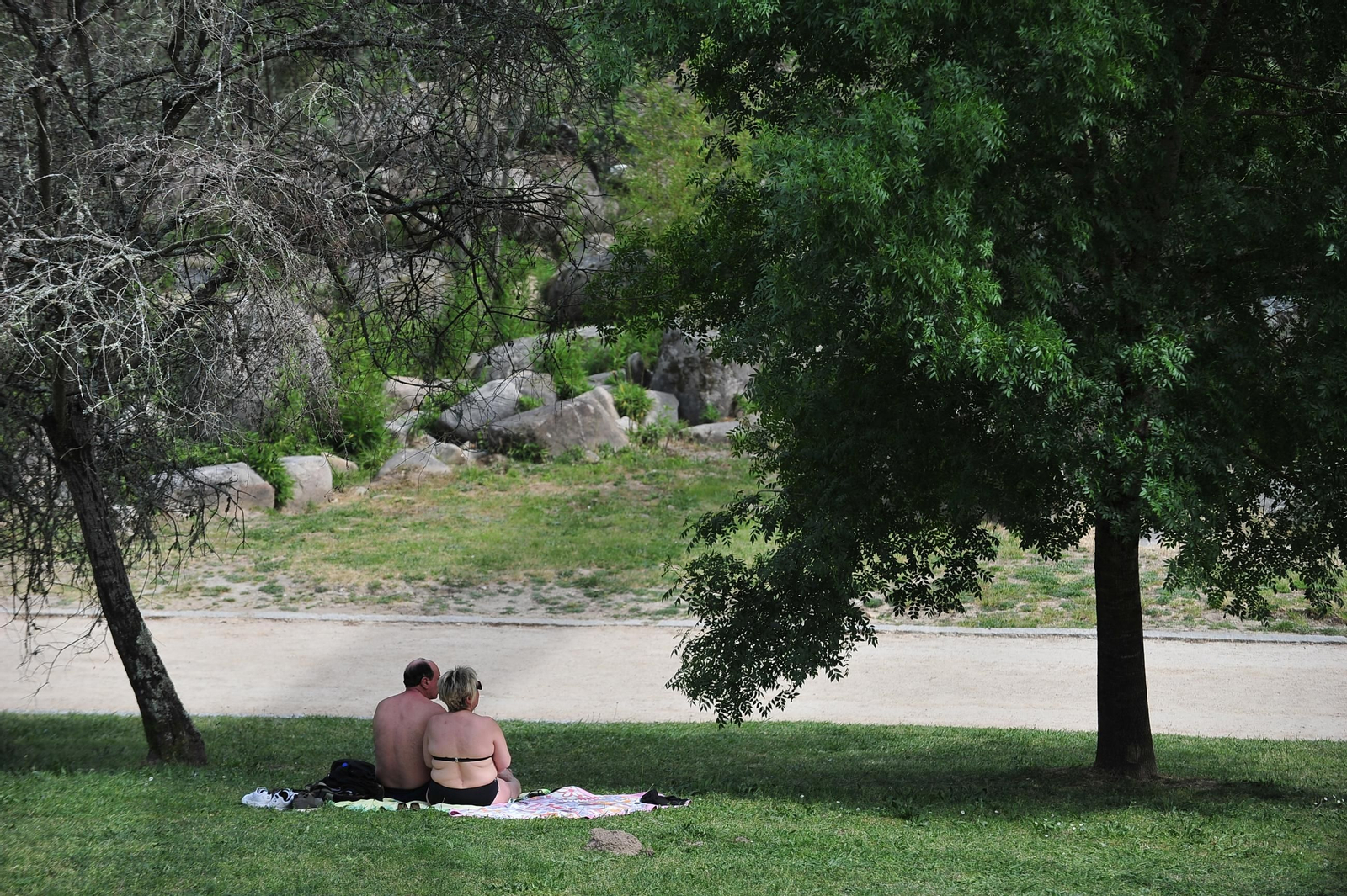 Una pareja disfruta del buen tiempo a la sombra de los árboles.