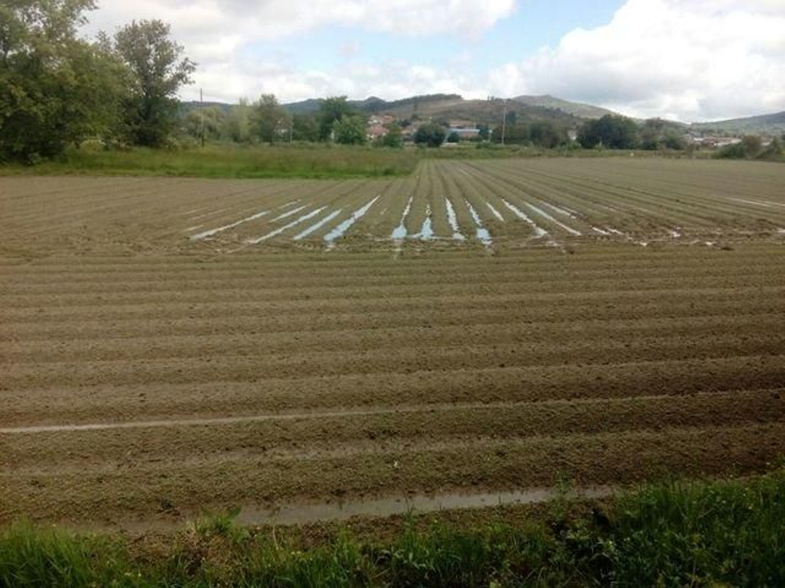 Estado que presentaba este lunes una de las fincas anegadas por las continuas precipitaciones.