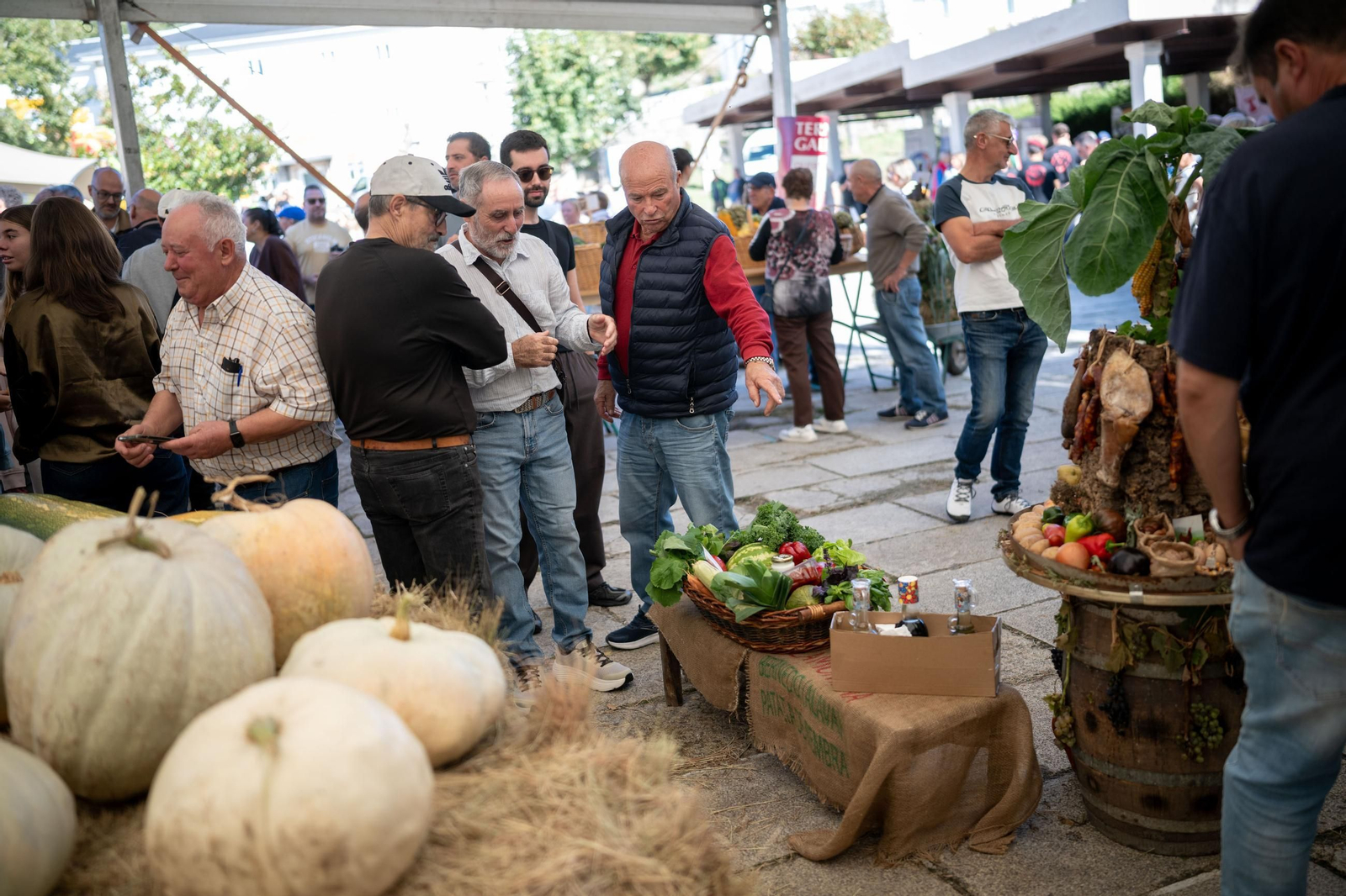 Galería | Vilar de Barrio disfruta un año más con al Festa da Pataca