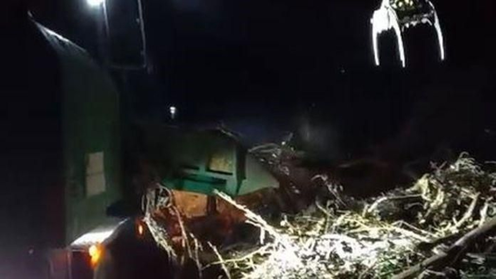 Esta semana, retirando y triturando restos de eucaliptos en Cíes.