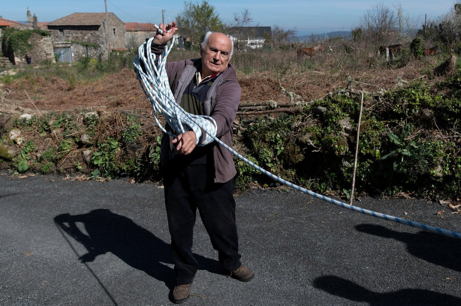 Todos quisieron ayudar a la yegua Tina en Vilar.