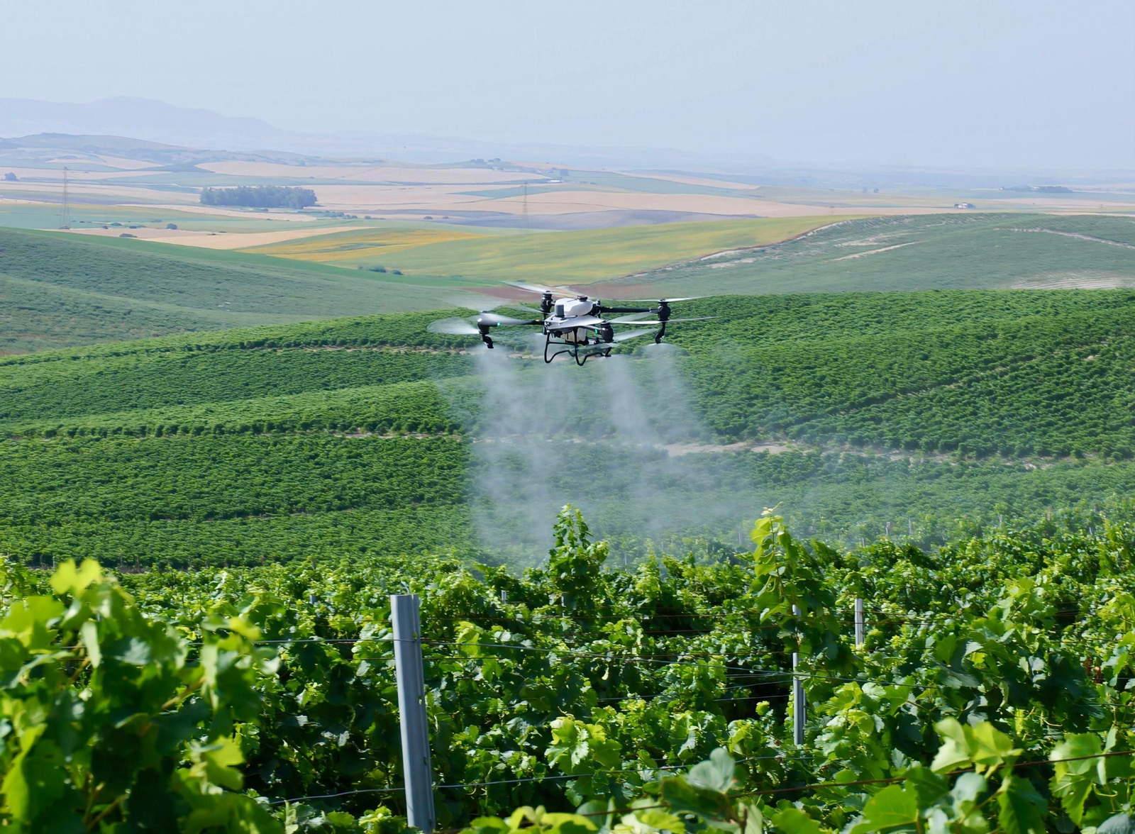 Dron de precisión pulverizando producto fitosanitario sobre vides.