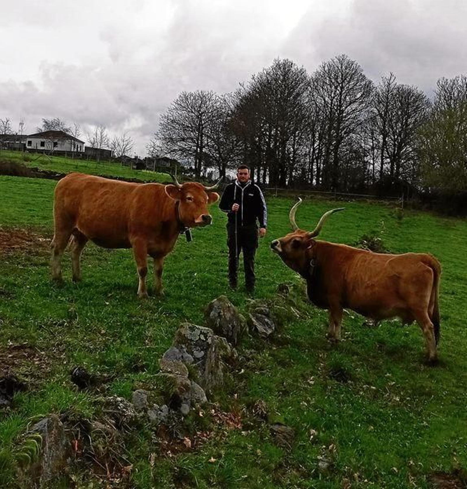 20200215155434938_resultado