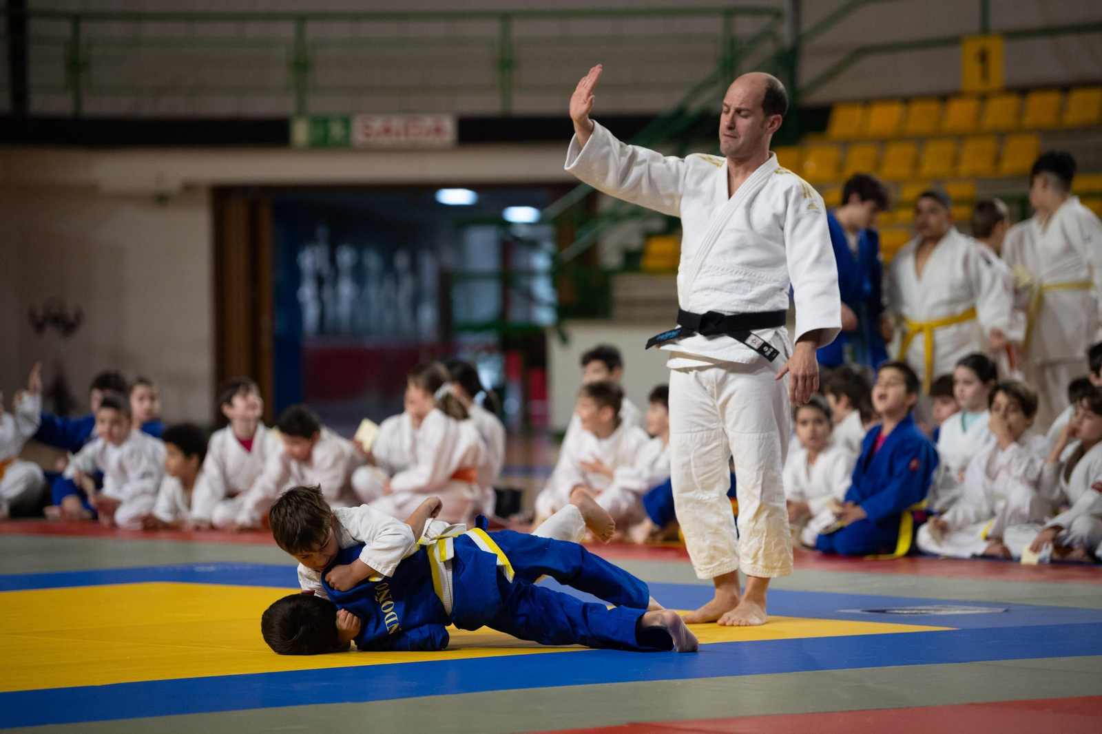 Galería | El judo arranca una edición más de su Copa Diputación