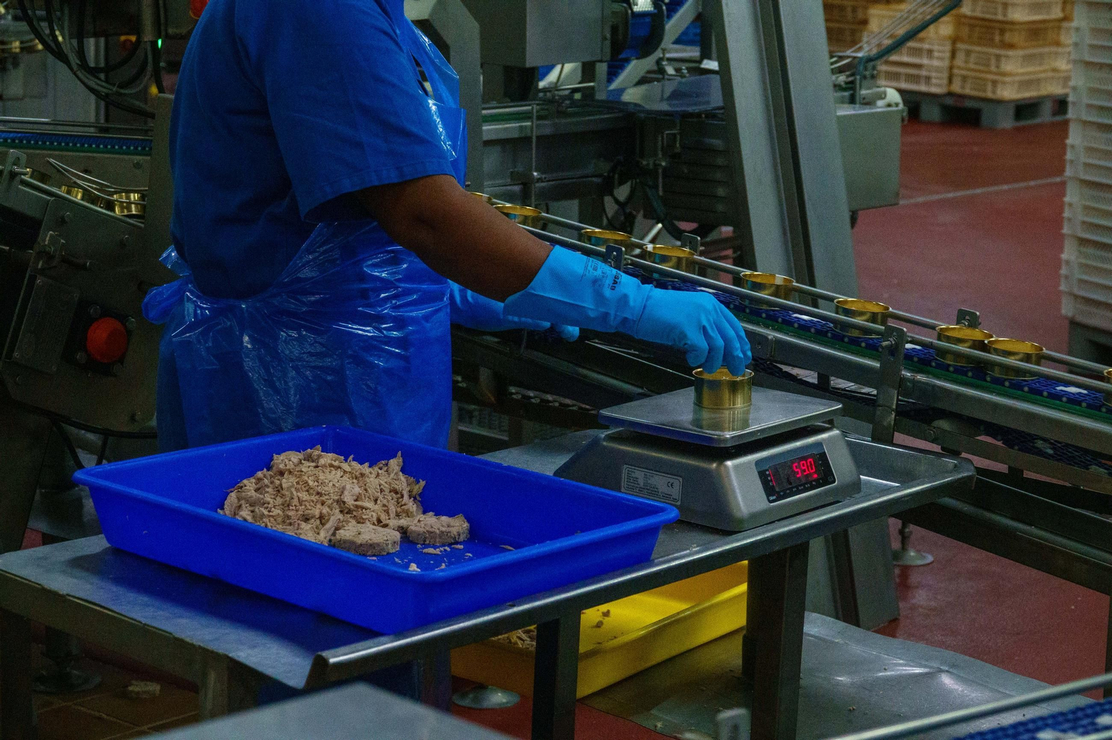 La conserva de atún es muy relevante dentro de la industria conservera europea y gallega.
