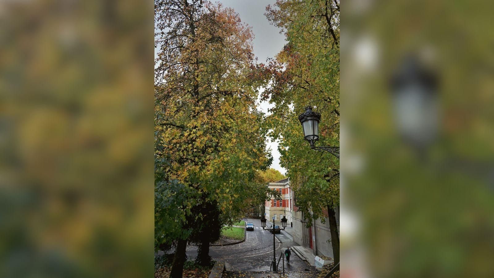 Opinión en La Región