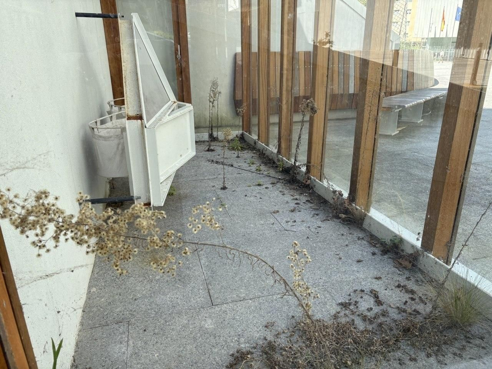 Hierbas, hojas y suciedad rodean a la cuna, cuyo óxido avanza.