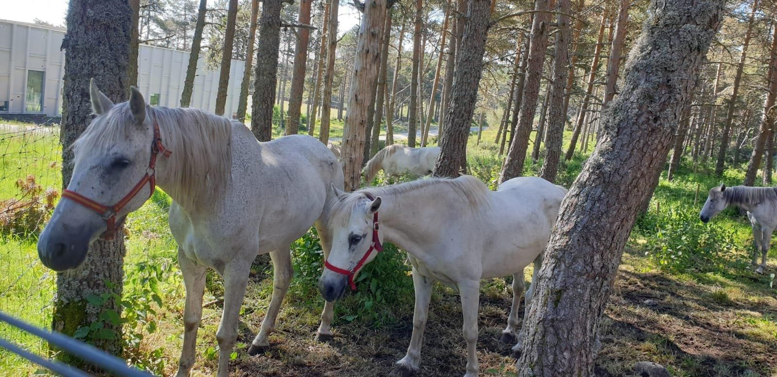 WhatsApp Image 2021-06-12 at 11.28.14