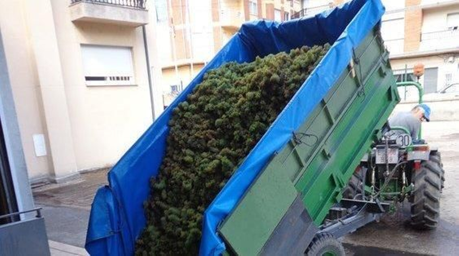 Un viticultor descarga uva en la bodega Jesús Nazareno (J.C.)