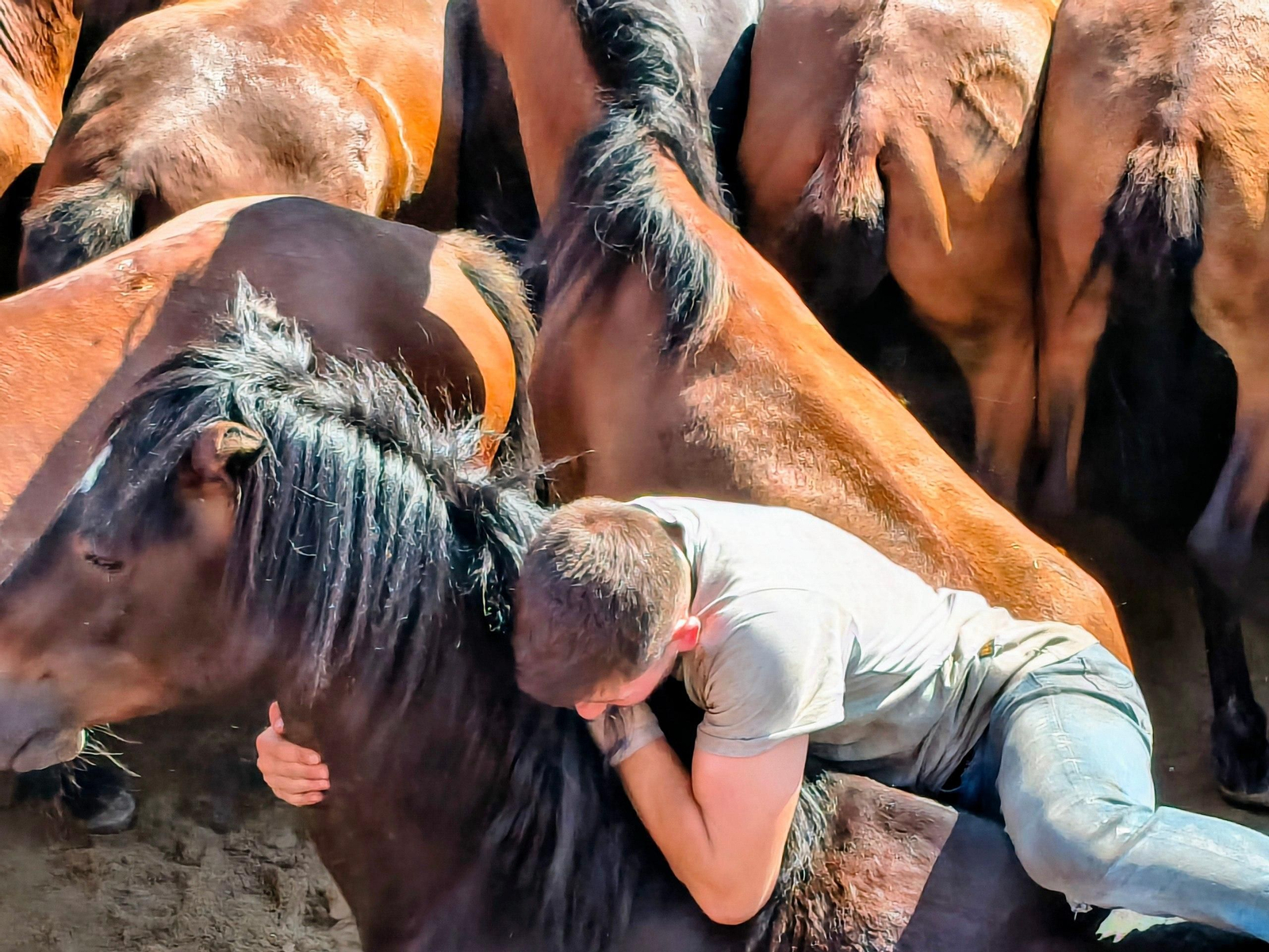 Galería | La Rapa das Bestas desafía al calor en Sabucedo