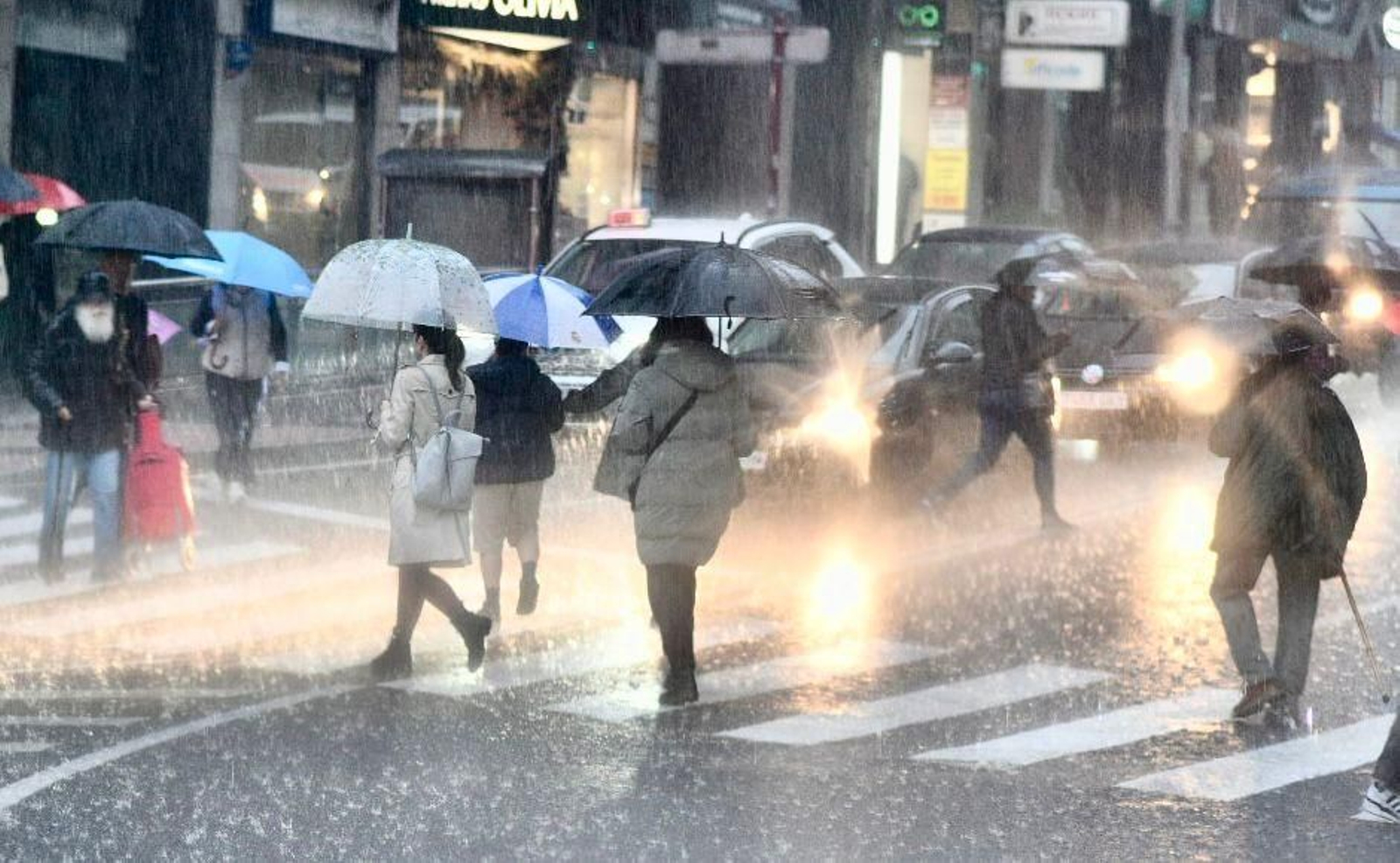 WhatsApp Image 2025-11-13 at 11.36.18.jpeg