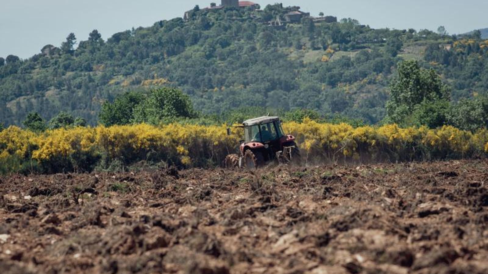 Bruno salgado, agricultor Castrelo do val (ÓSCAR Pinal)