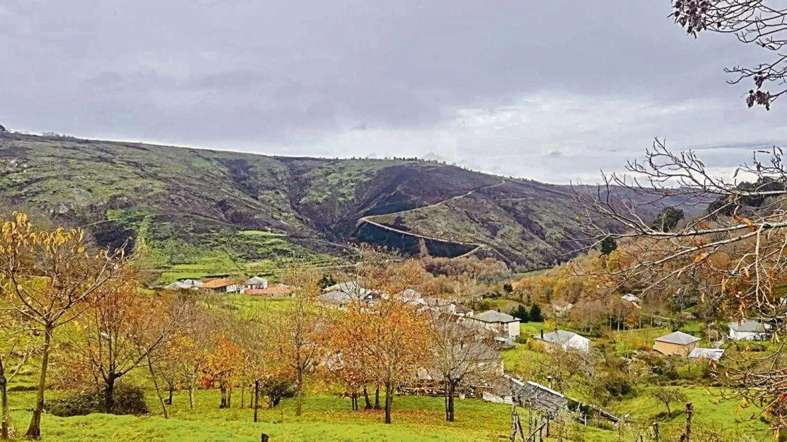 Montes de la aldea de Pentes (A Gudiña) donde se prevé iniciar la producción de wolframio.