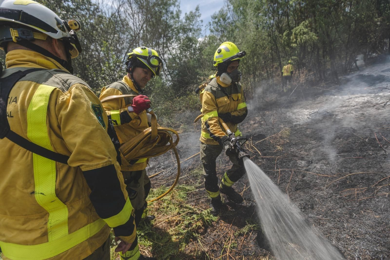Galería | Los bomberos búlgaros trabajan en la extinción del incendio forestal de Untes, en fotos