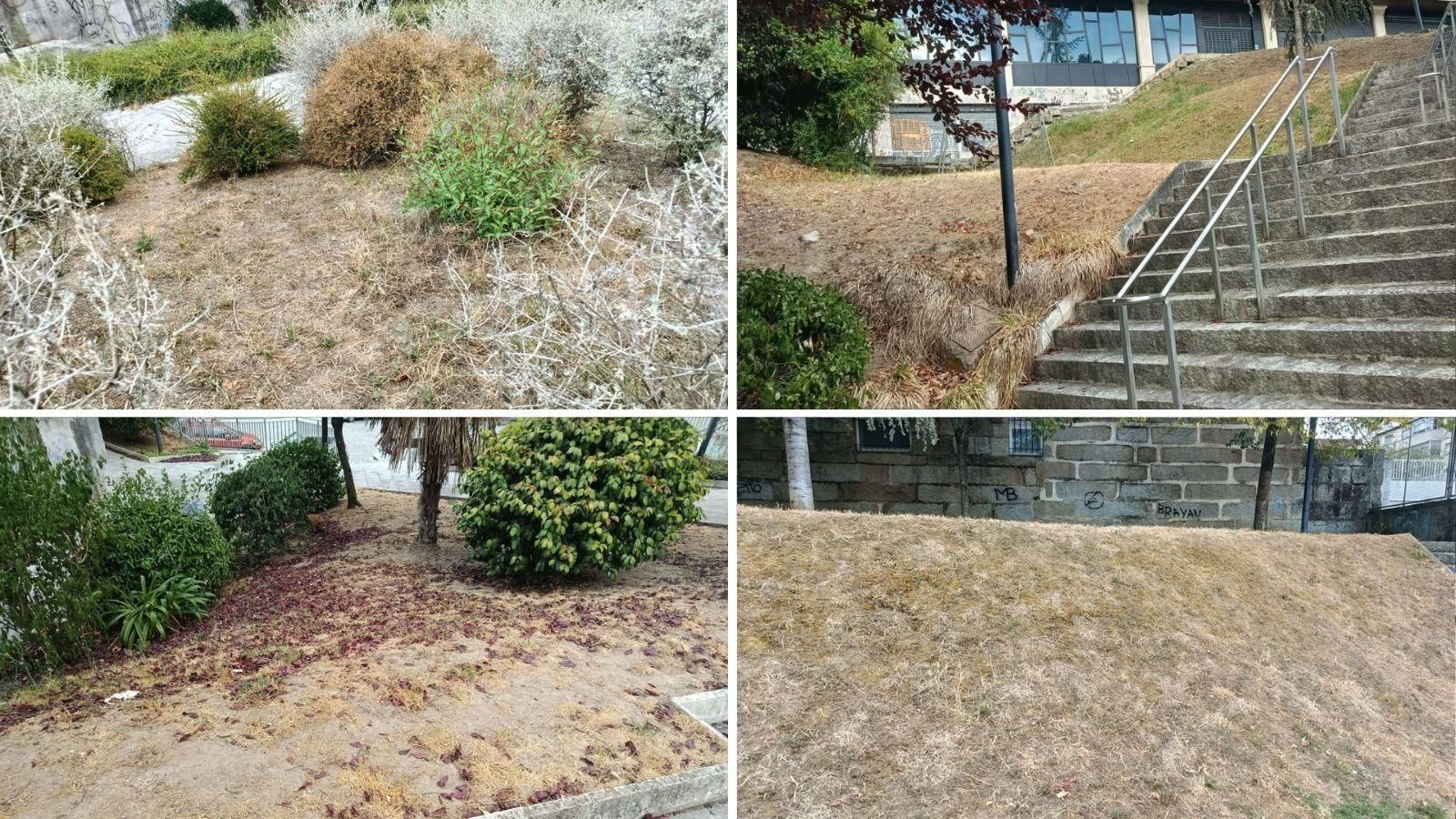 Jardines detrás de Fátima en el Couto