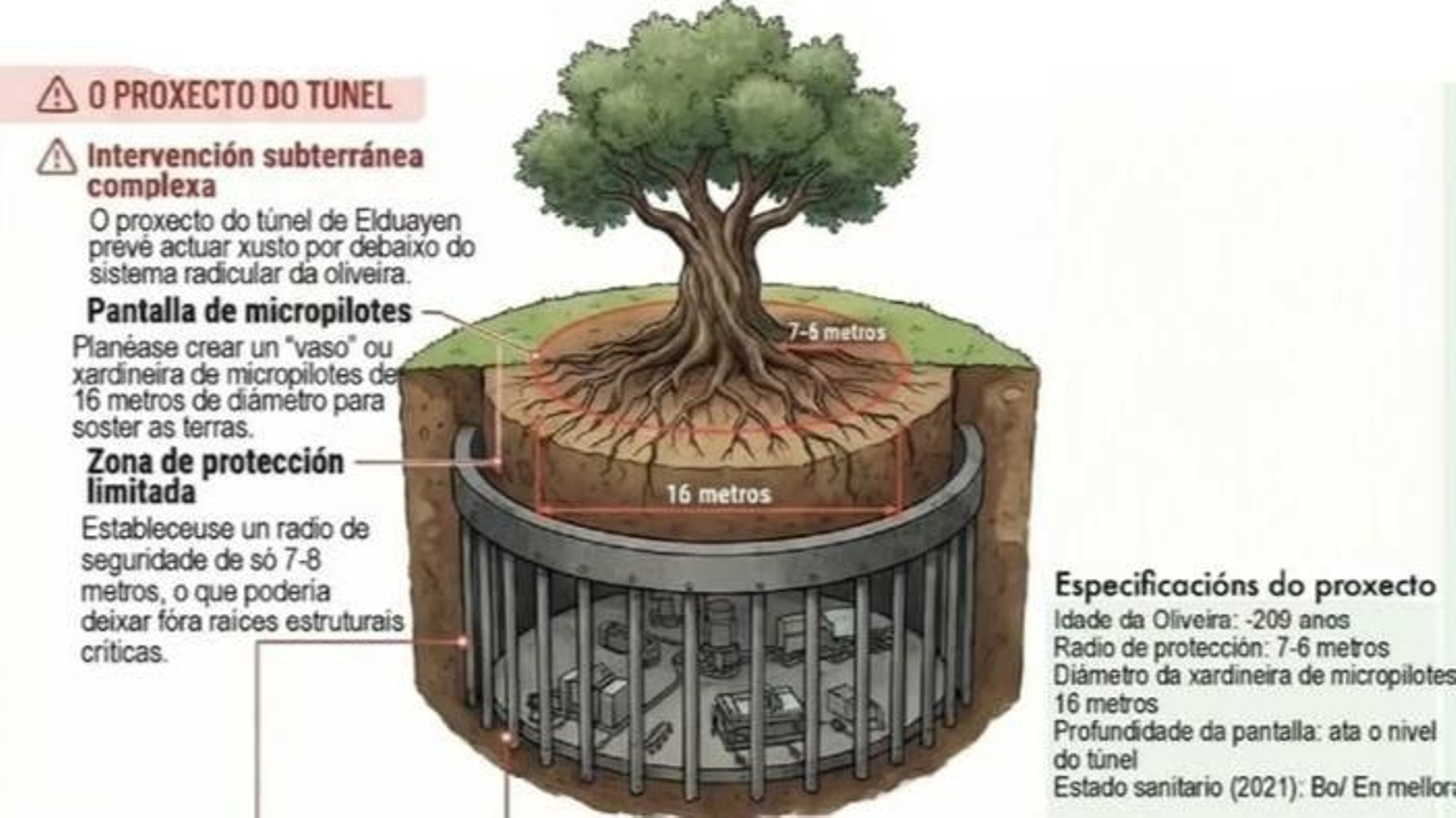 El esquema facilitado por Amigas das Árbores.