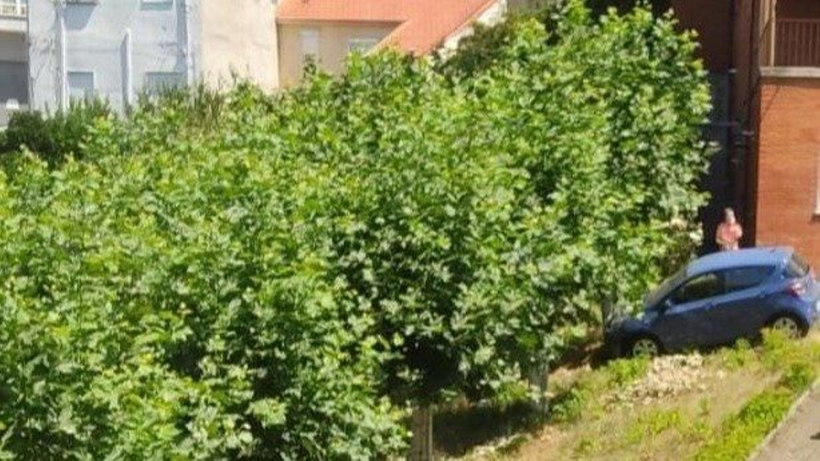 El coche se salió de la vía e impactó contra un árbol.