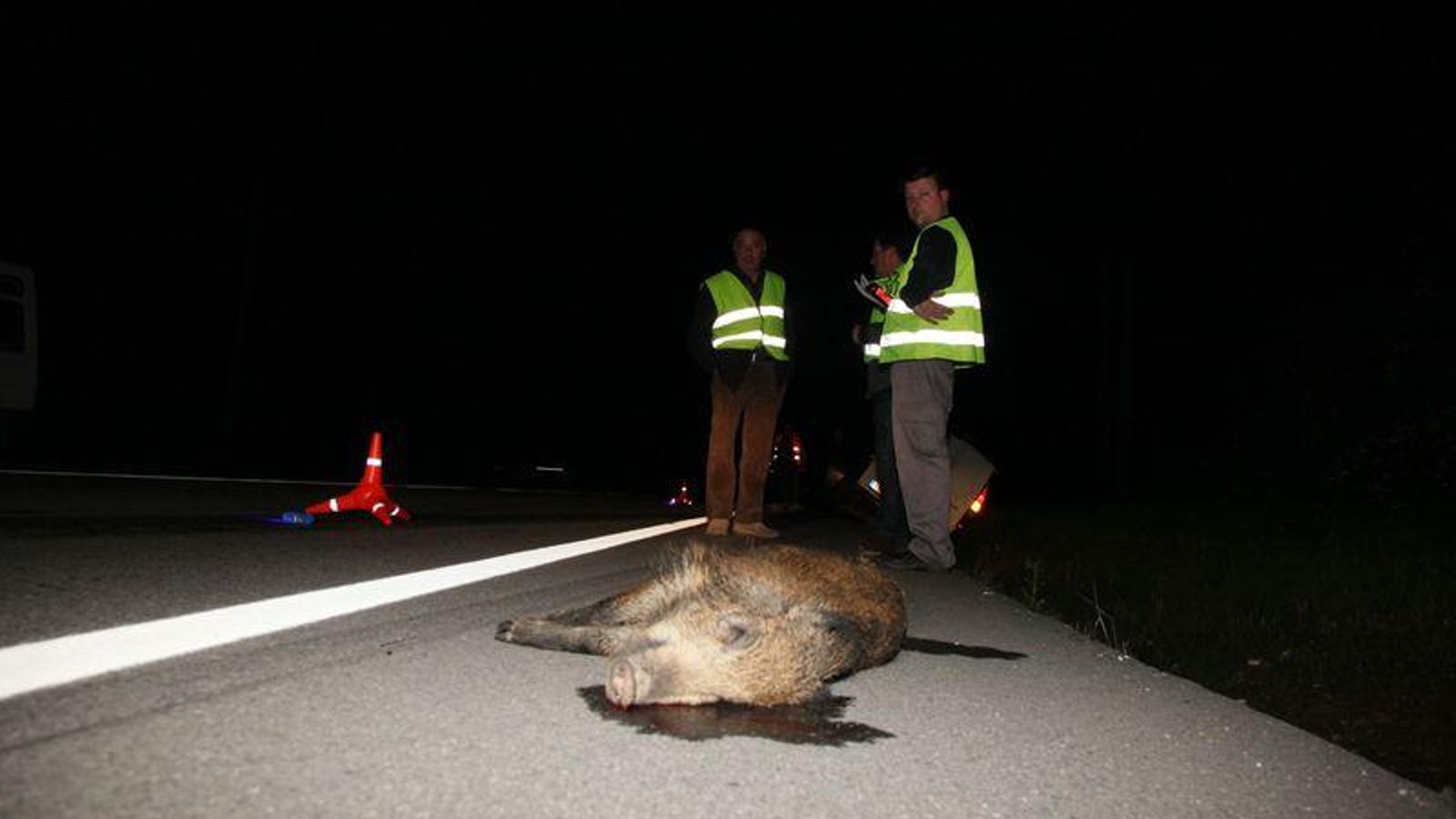 10.68.50.252-archive-2015-11-17-pazimg_0359_020_resultado