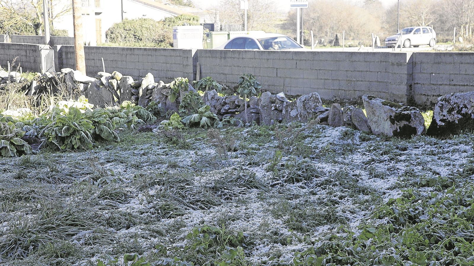 Restos de las heladas que abarcaron Baltar toda la semana.