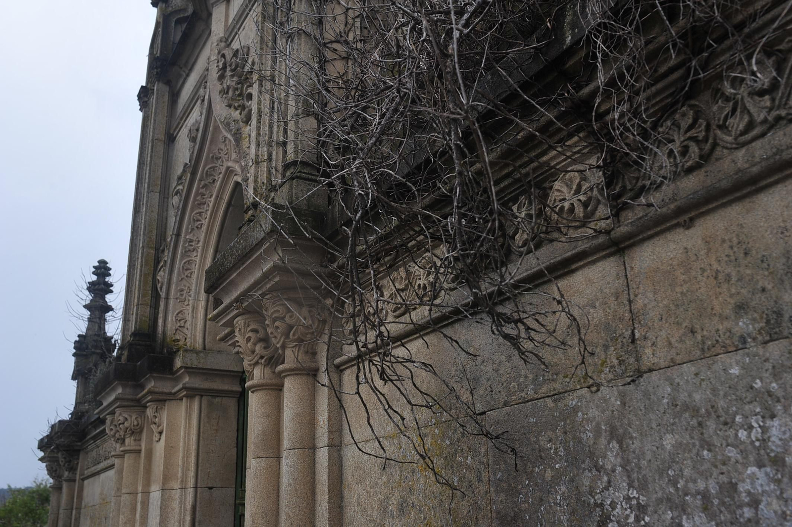 Nadie cuida la vegetación.  José Paz