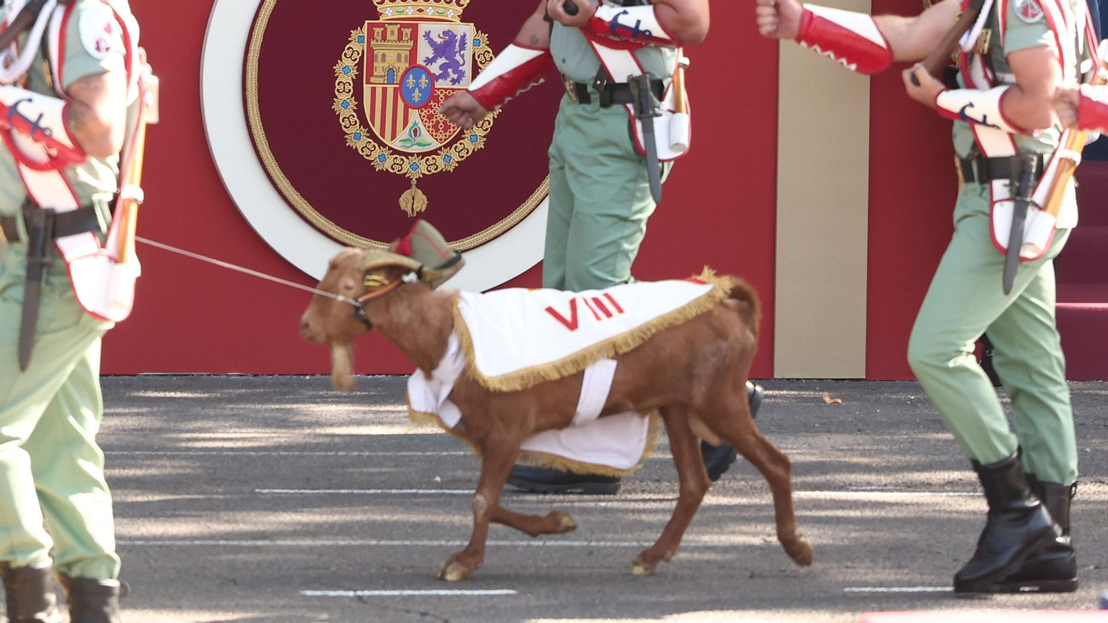 Babieca a su paso por Recoletos.