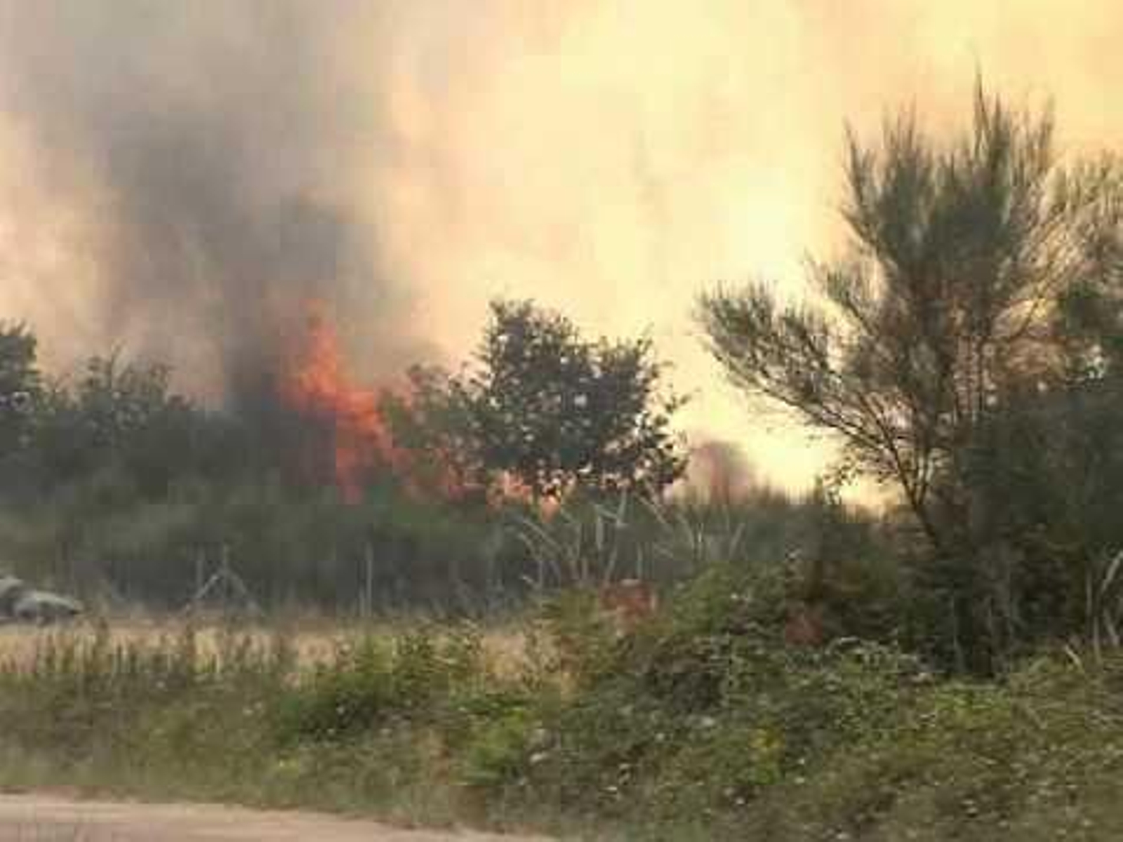 00 INCENDIO EN AMOEIRO.AVI