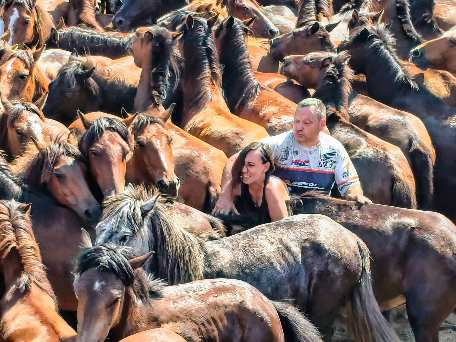 Galería | La Rapa das Bestas desafía al calor en Sabucedo