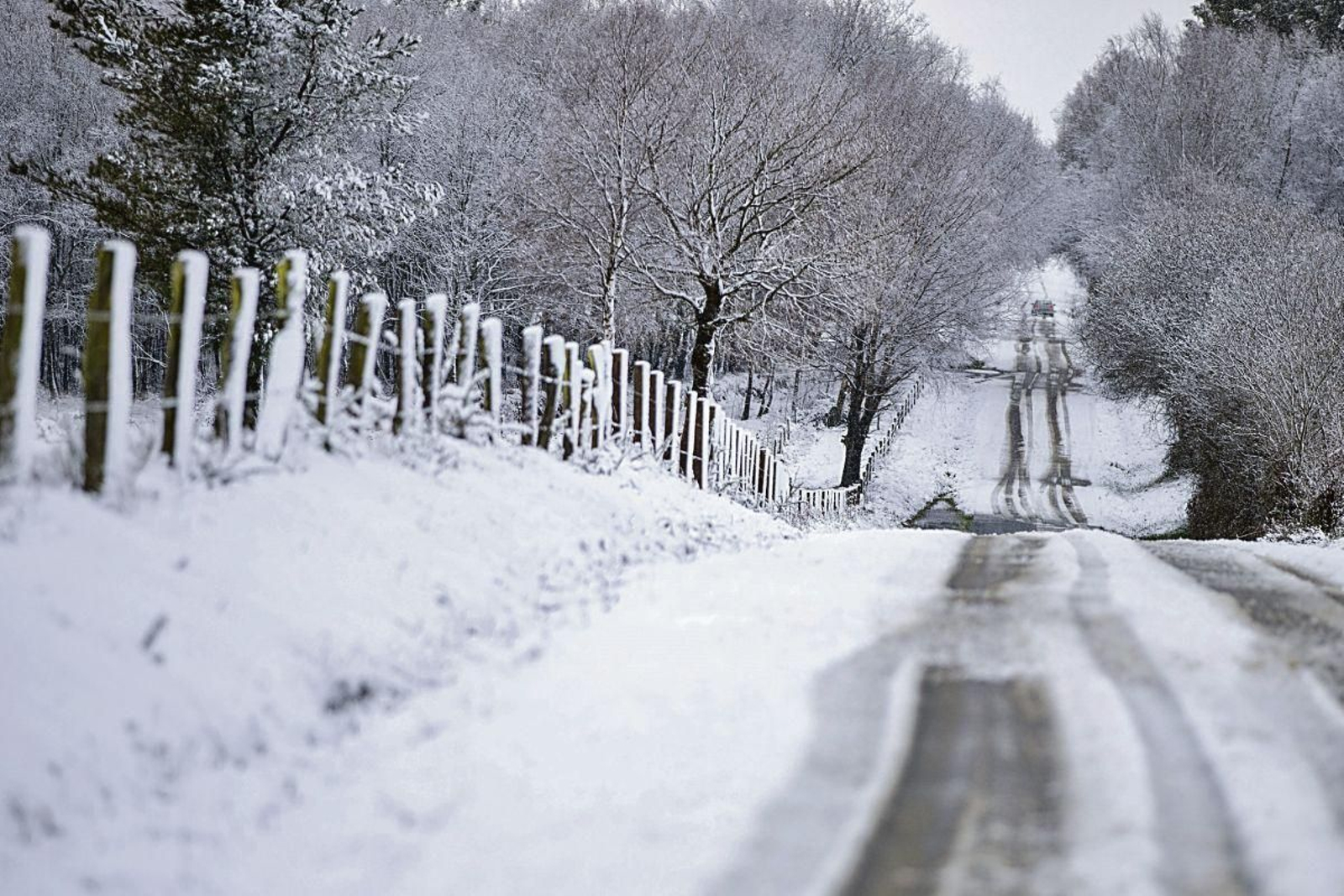 Carretera cubierta por la nieve ayer en Palas de Rei (Lugo).