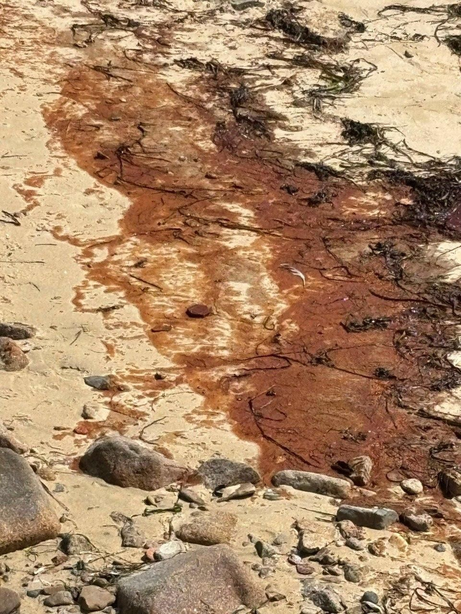 La mancha que apareció en la playa de O Cocho.