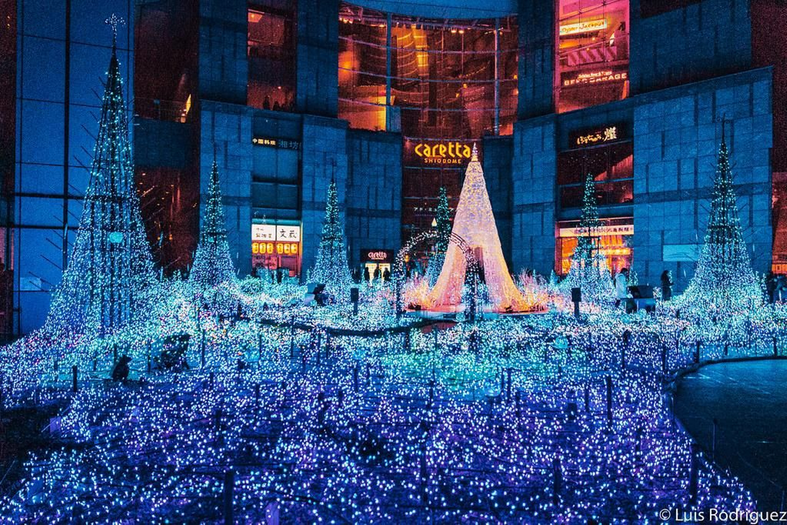 Tokio iluminado. Japonismo.jpg