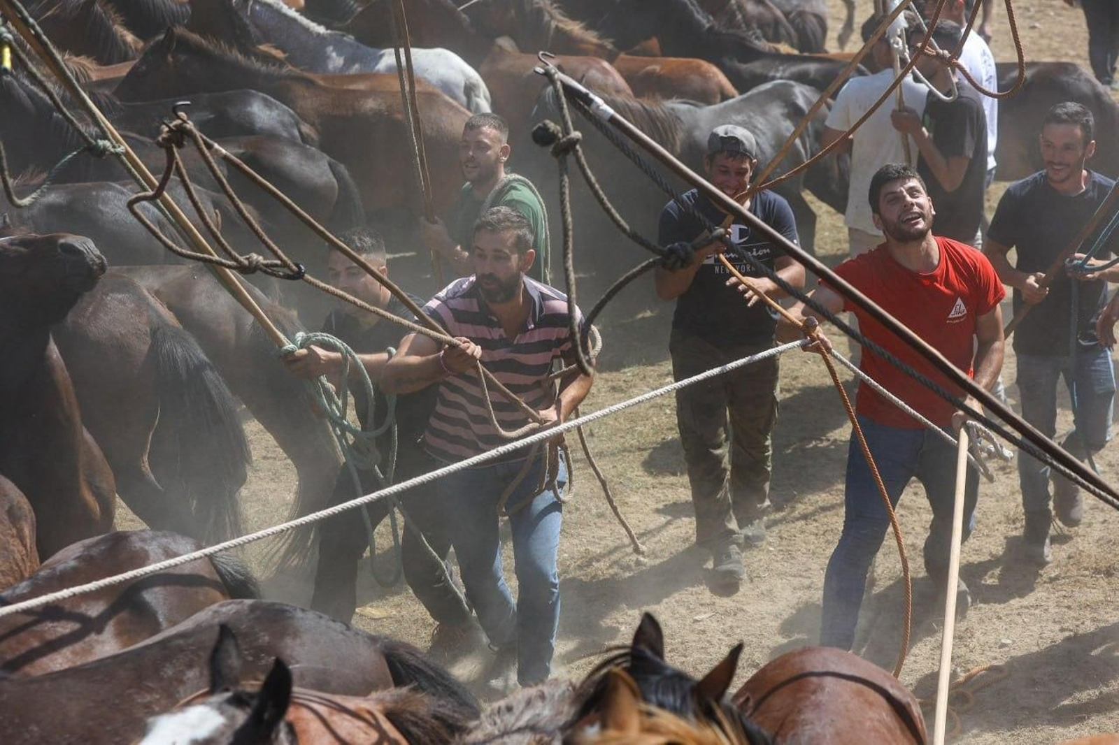 Galería | El curro de Mougás cierra la temporada de la “rapa” en la Serra da Groba