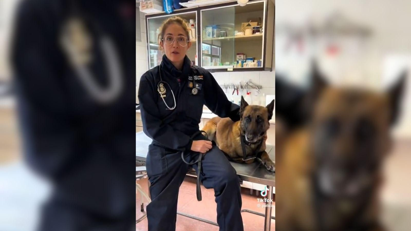 Una agente de la Policía Nacional explicando los riesgos de la oruga procesionaria