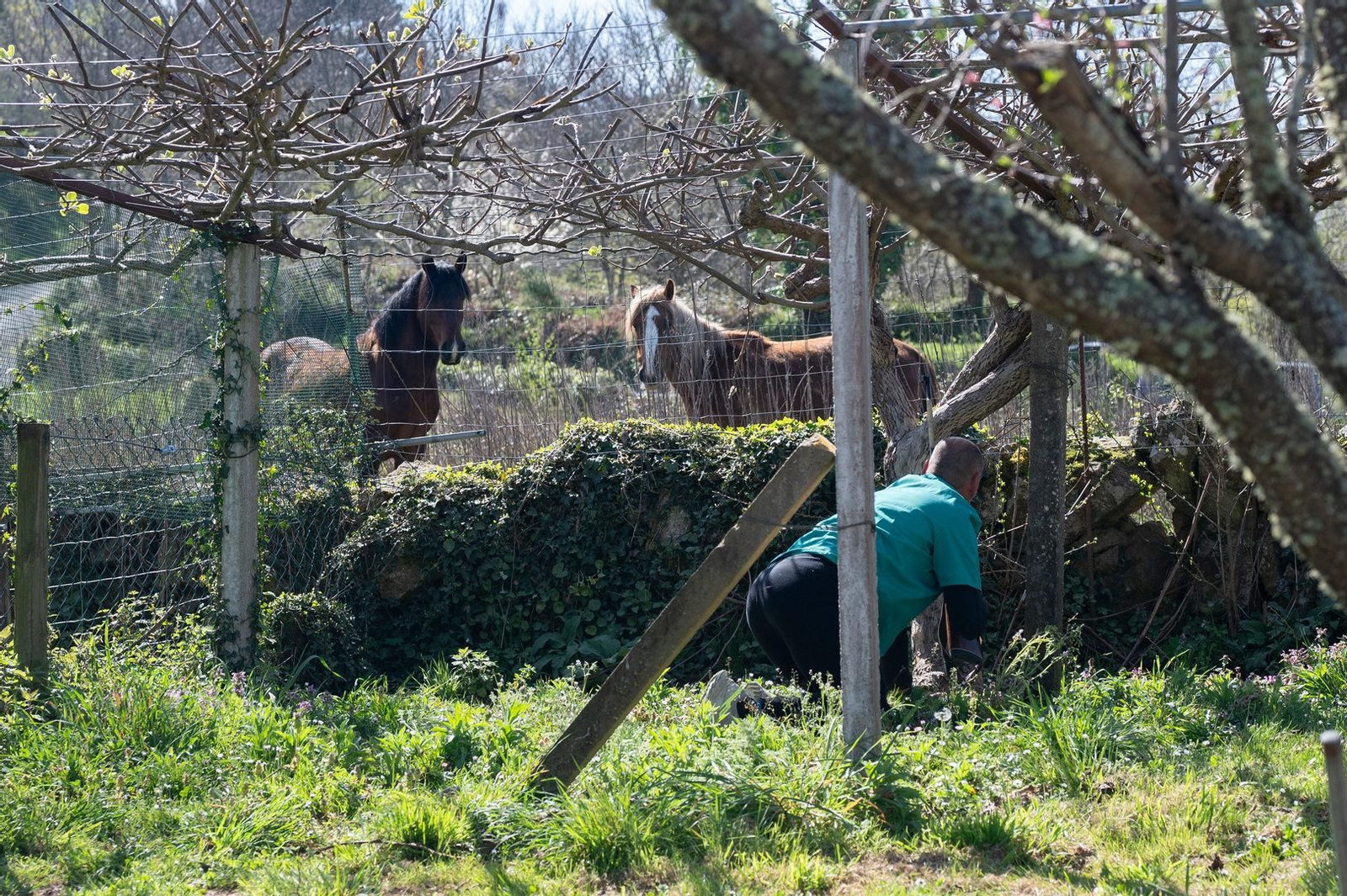 Pablo Teijeiro busca anestesiar a Tina.