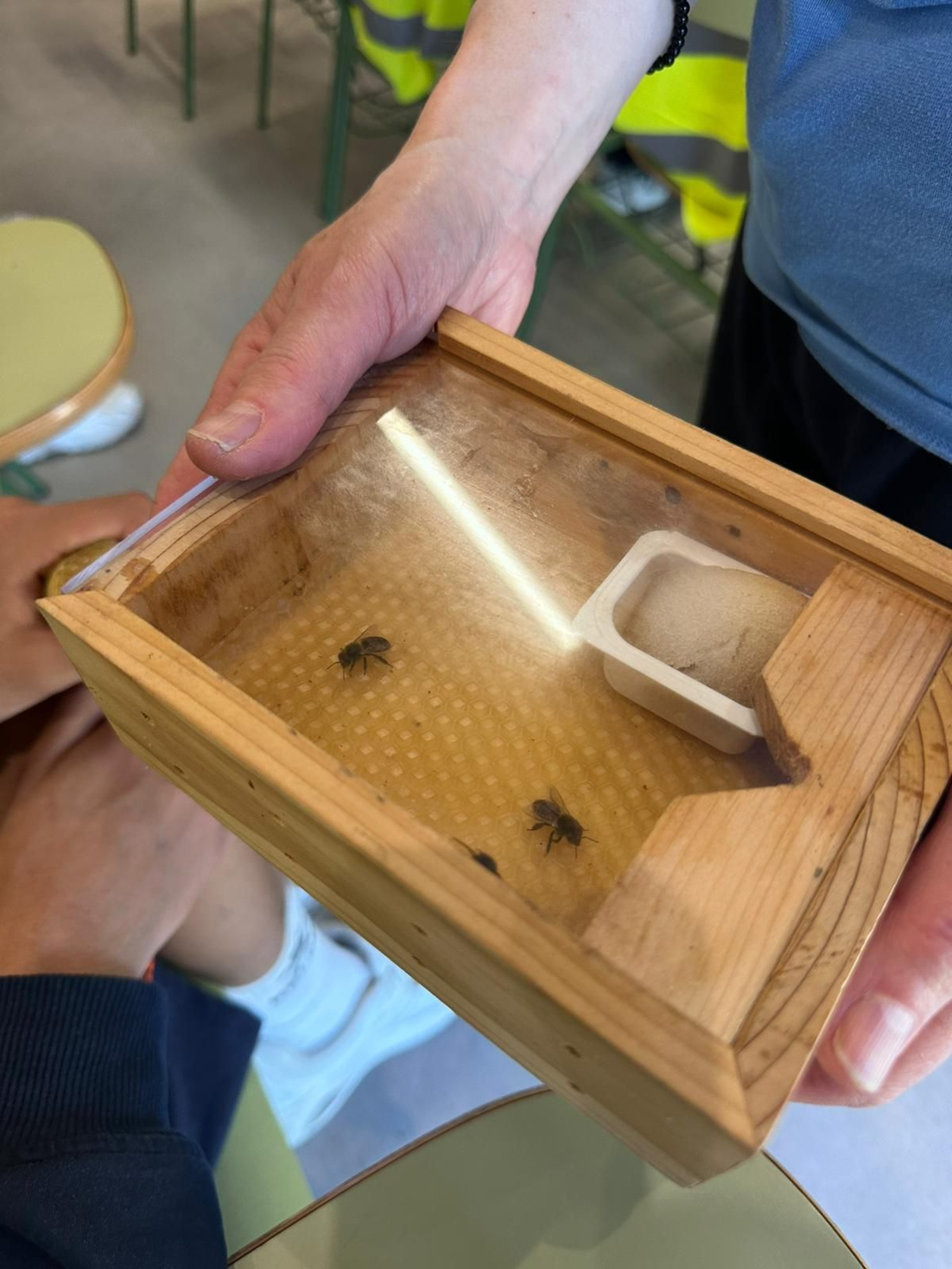 Jornada de apicultura tradicional de Ecovigilantes