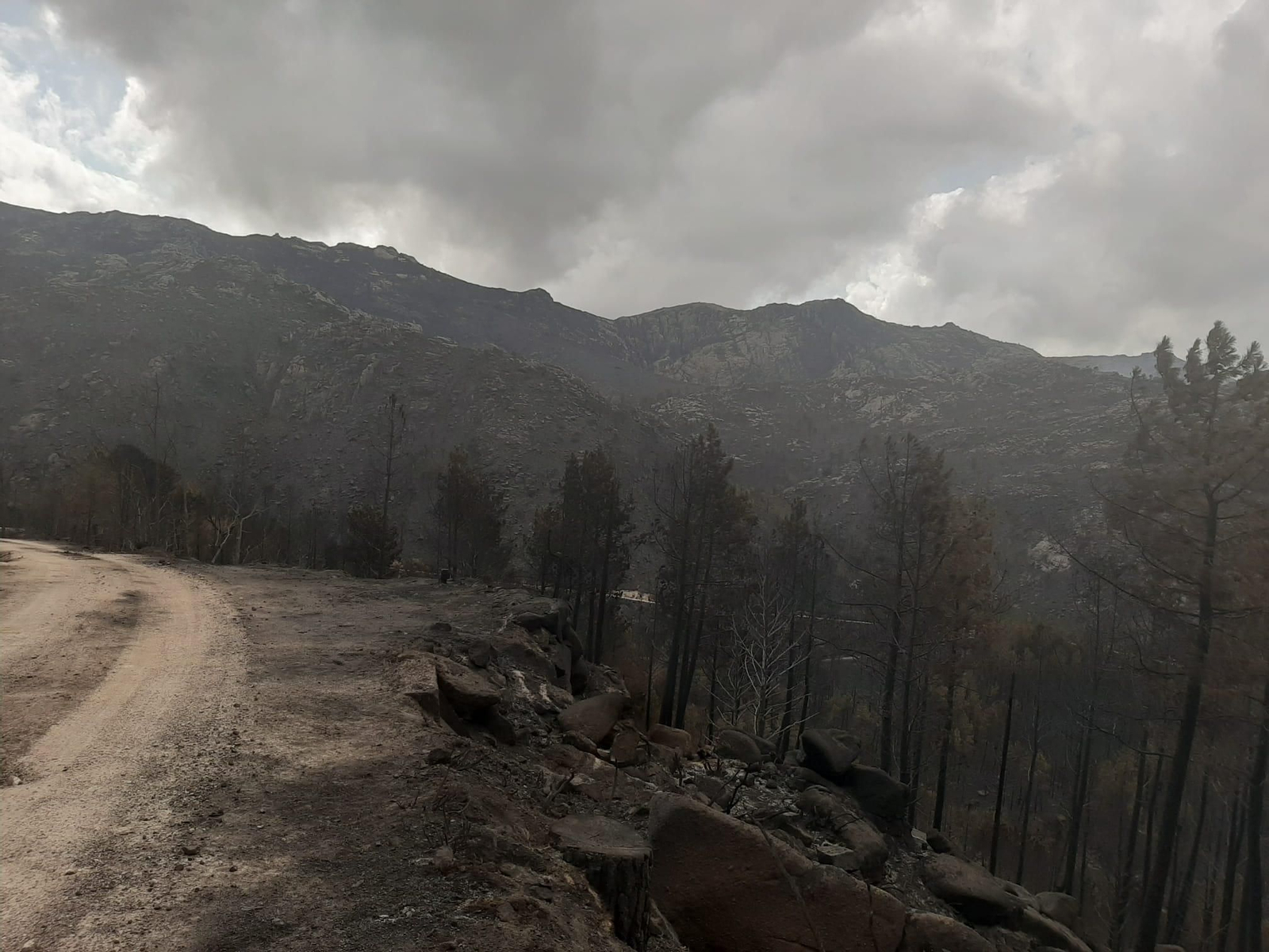 Incendio en Río Caldo, Lobios.