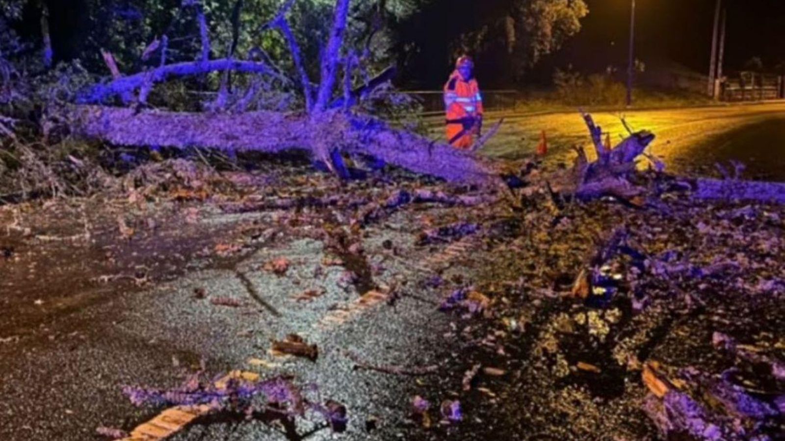 Árbol caído en la OU-540.