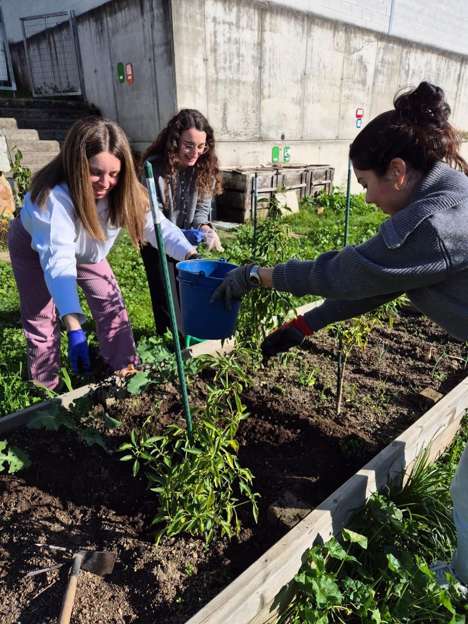 A natureza como mestra no Ruxidoiro