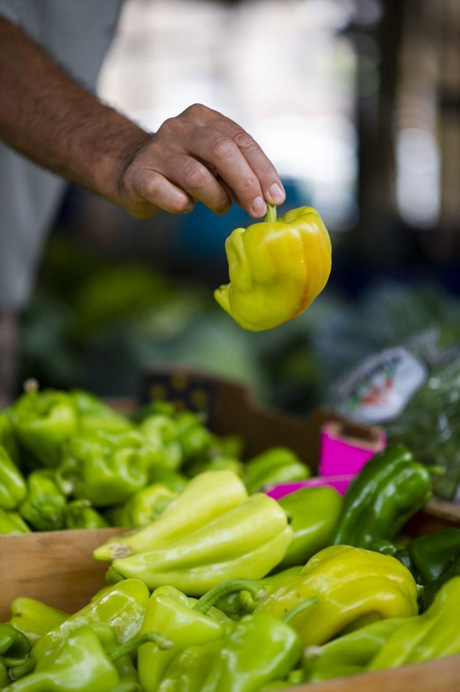 Portada revista (3)_resultado