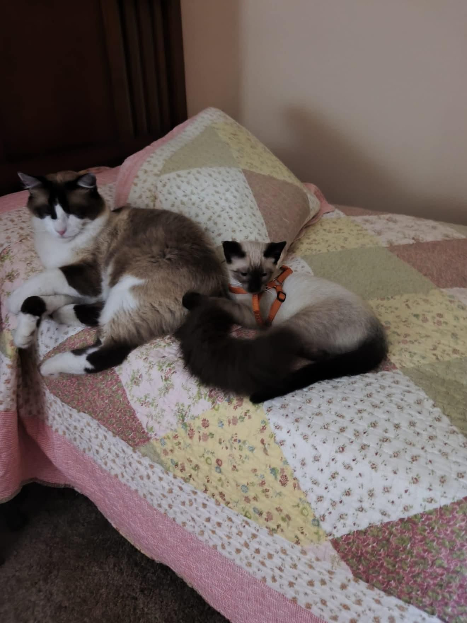 Nano y Lila