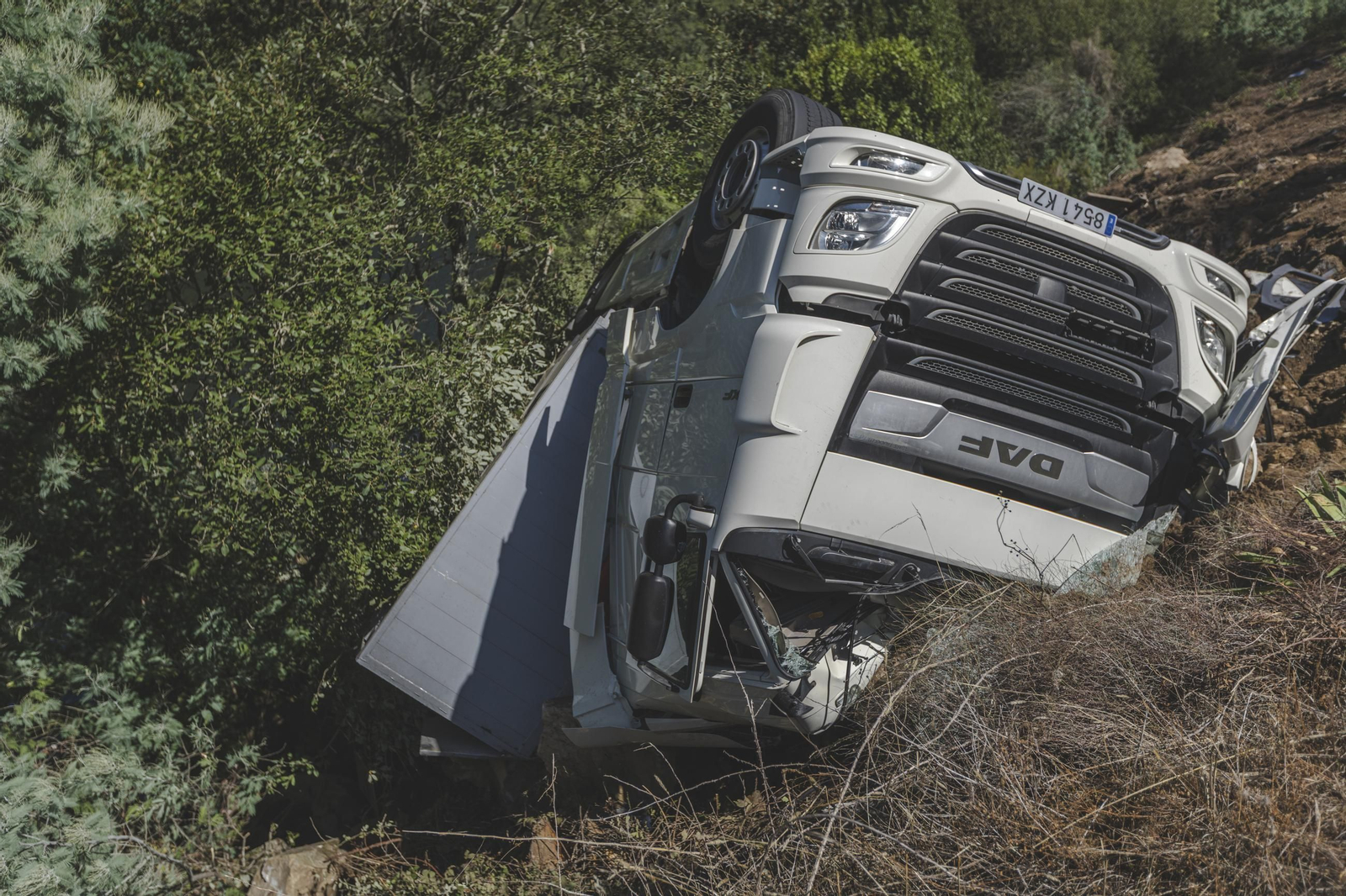 Galería | Así fue el accidente en la N-120 que se saldó con varios cerdos en el Miño, en fotos