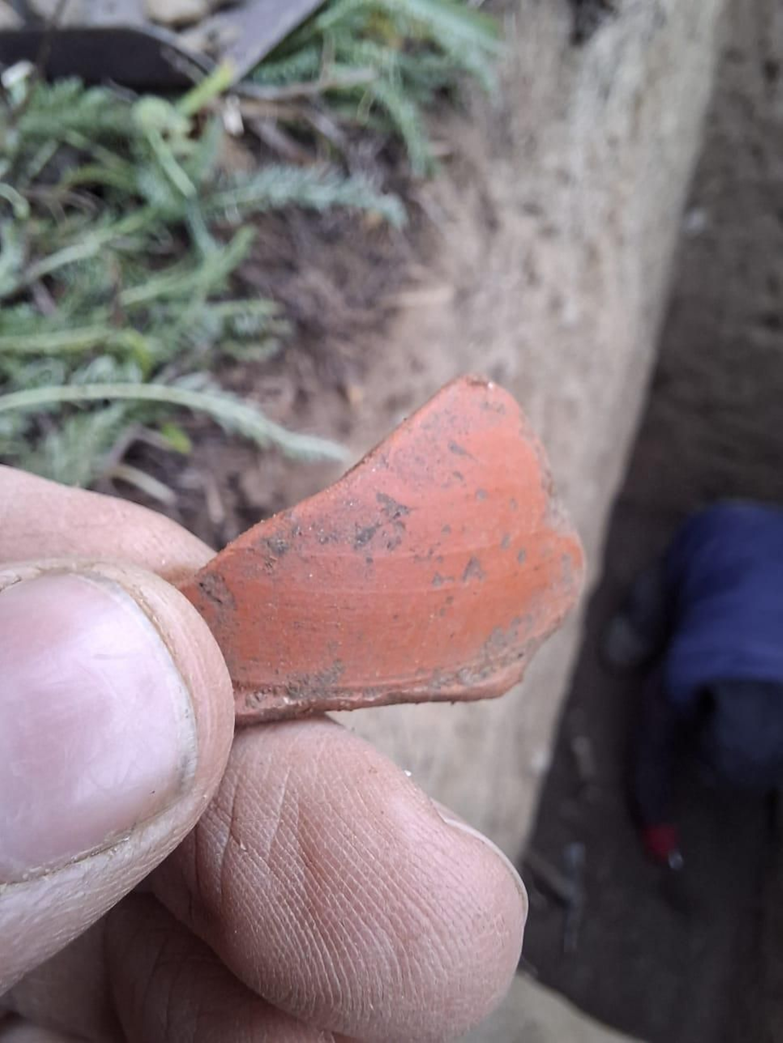 Muestras de resto de cerámicas encontradas