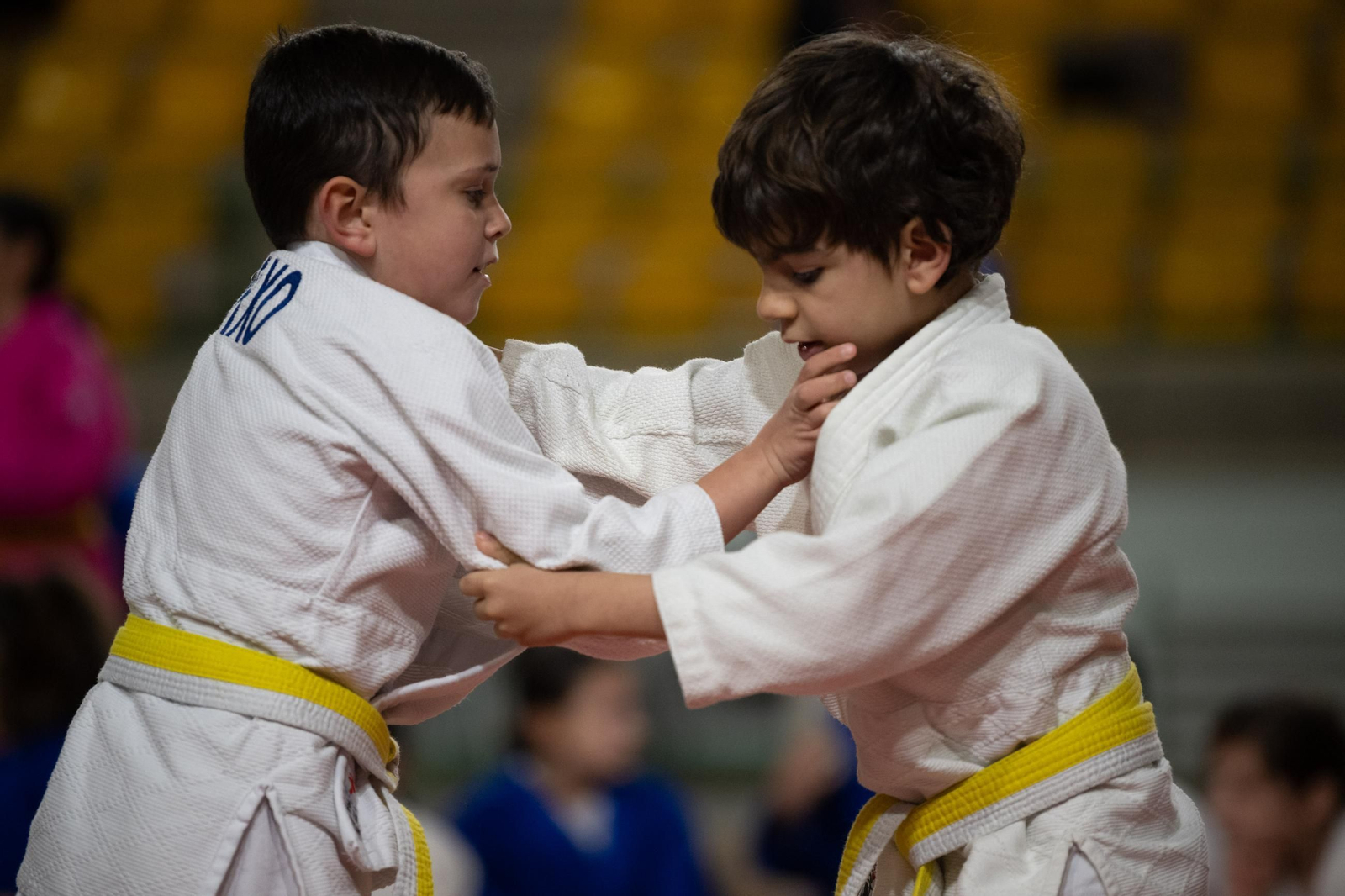 Galería | El judo arranca una edición más de su Copa Diputación