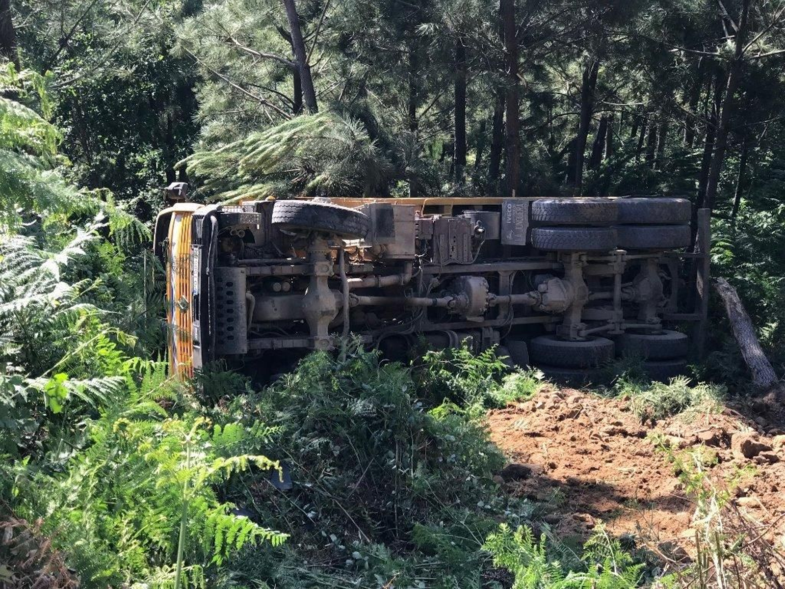 Fallece un camionero en Mos // Alberte