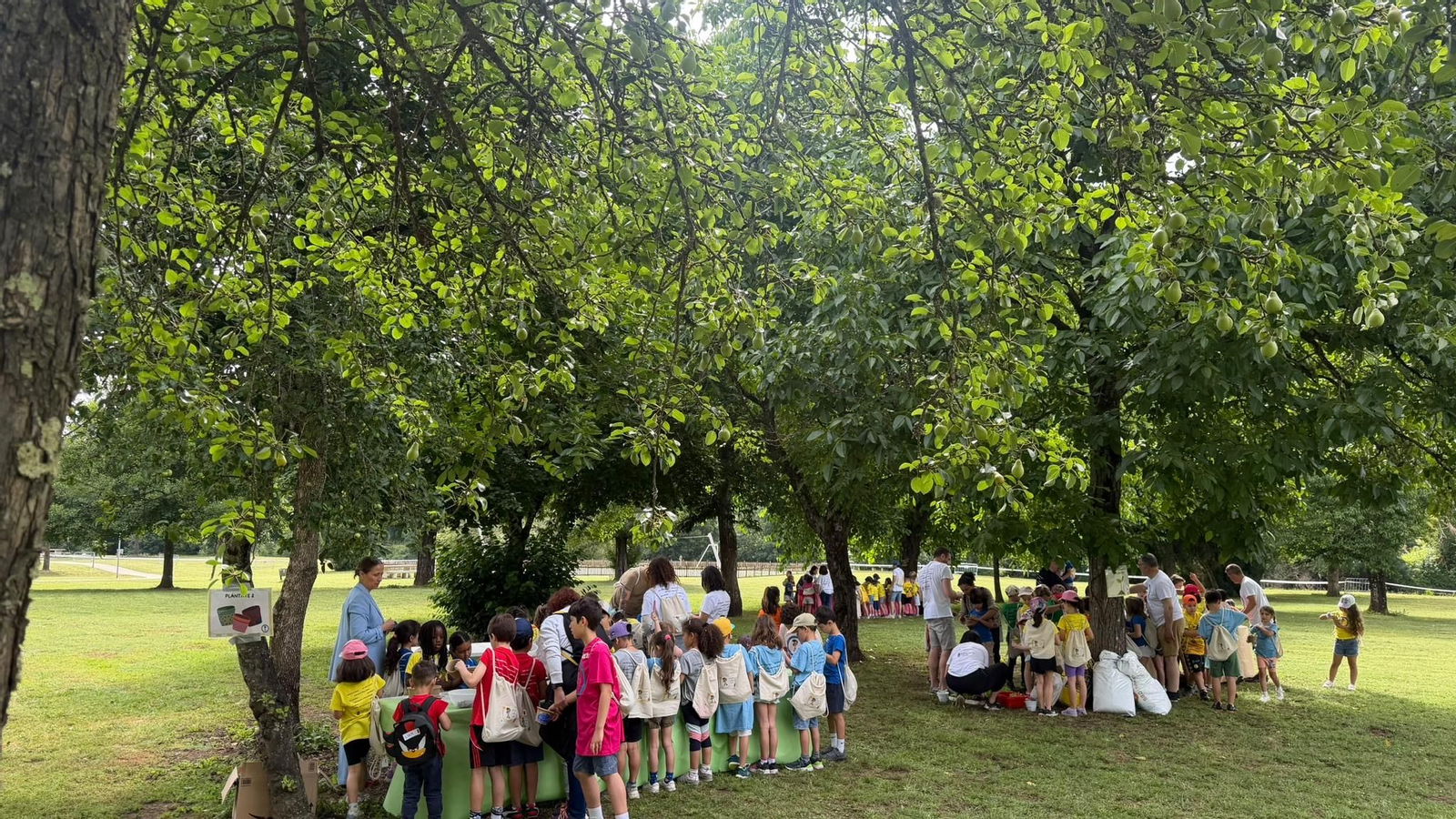 Xornada intercentros no Ribeiro