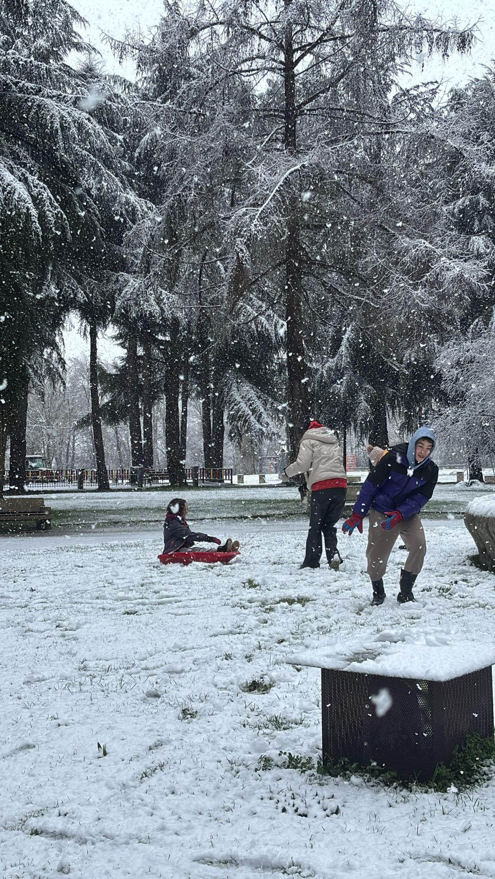Niños jugando con la nieve en el Parque do Toural de Xinzo, de entre 15 y 10 años la menor: “Nunca víramos nevar así.”
