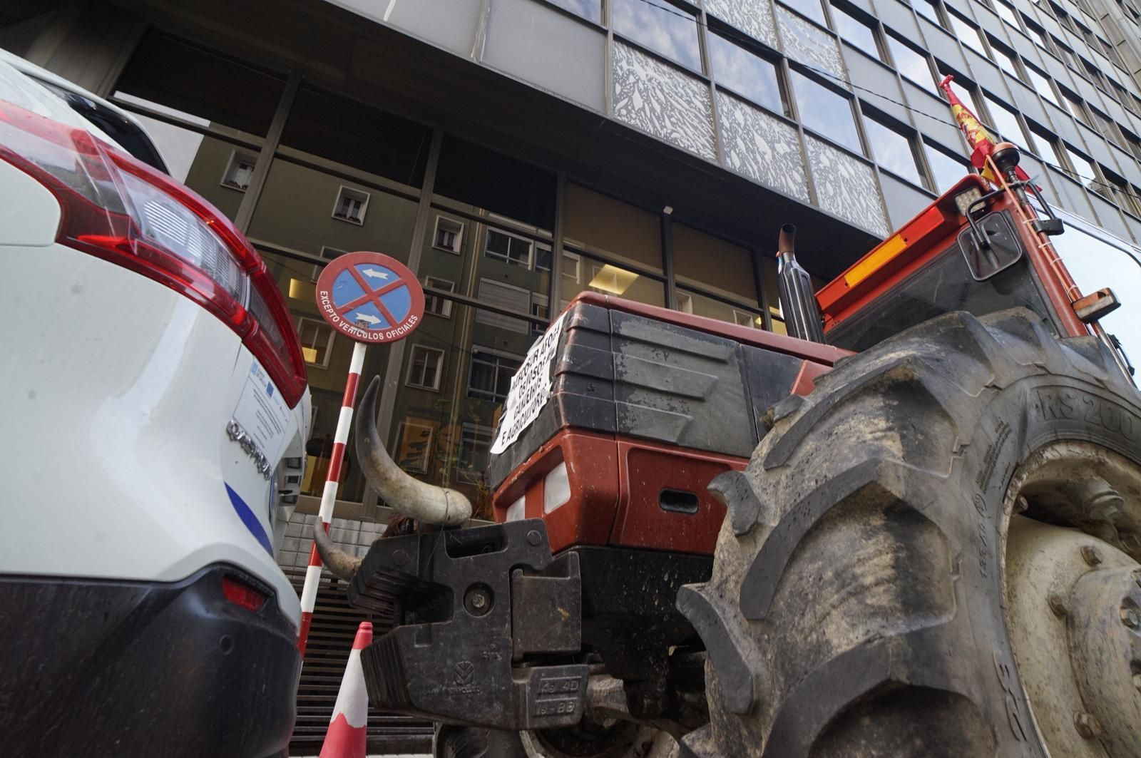 WhatsApp Image 2026-01-09 at 18.00.09 (2) - copia.jpeg