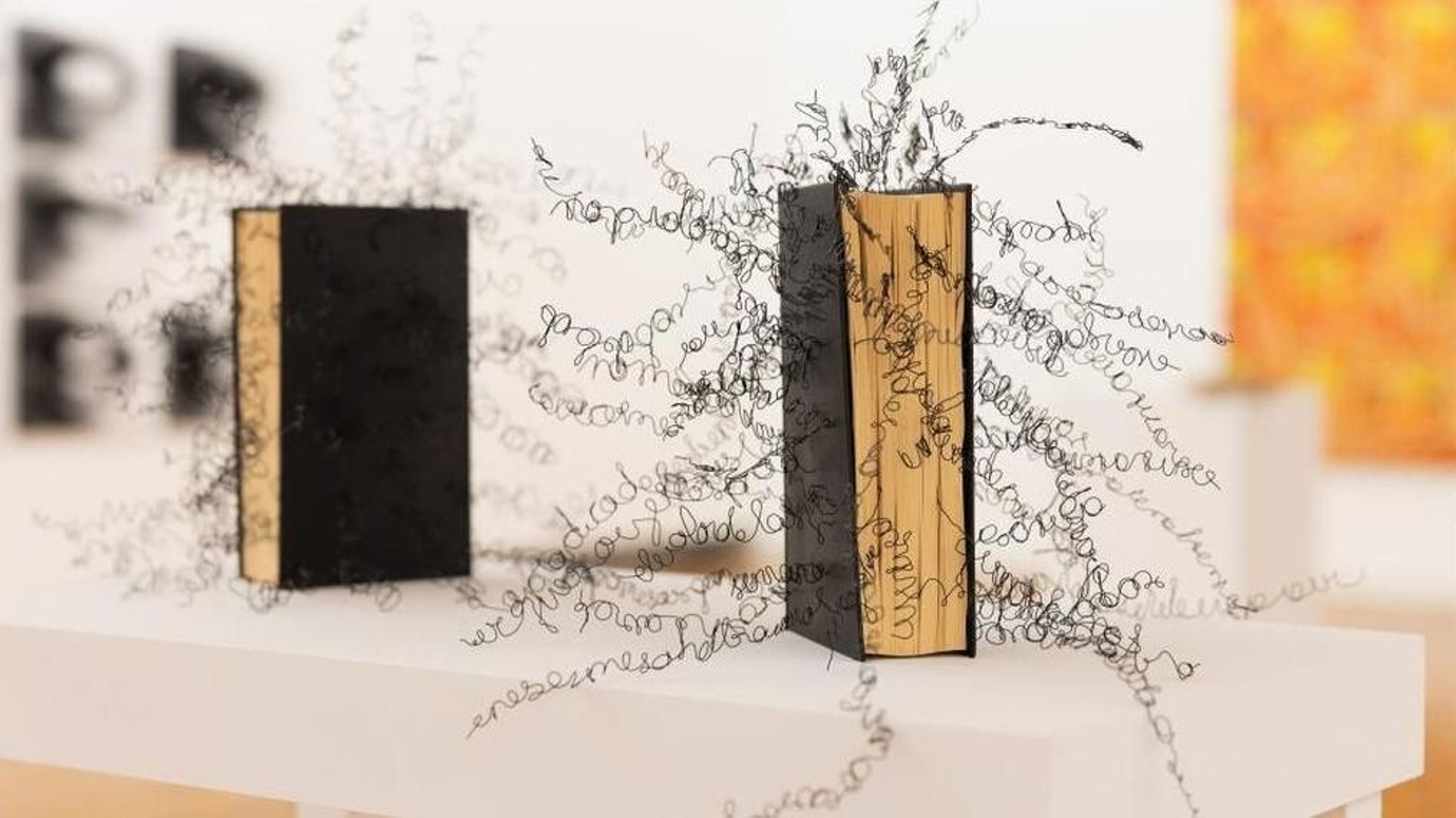 Obras expuestas en “Pisando charcos” expuesta  en el CGAC.