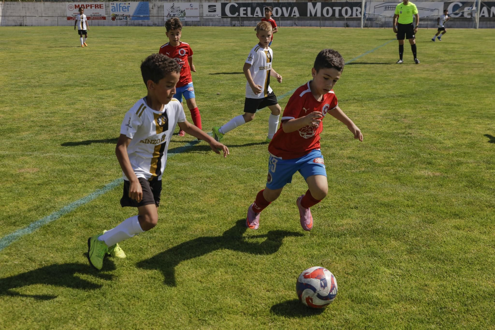 Los pequeños vibraron en San Rosendo con el Trofeo de fútbol Concello de Celanova